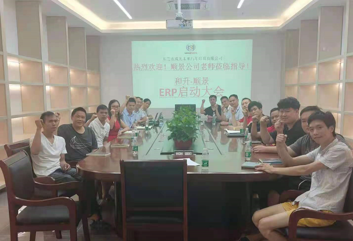 承前启后,智造先行!和升汽车照明公司携手开云app官方官网-开云(中国)软件打造数智管理